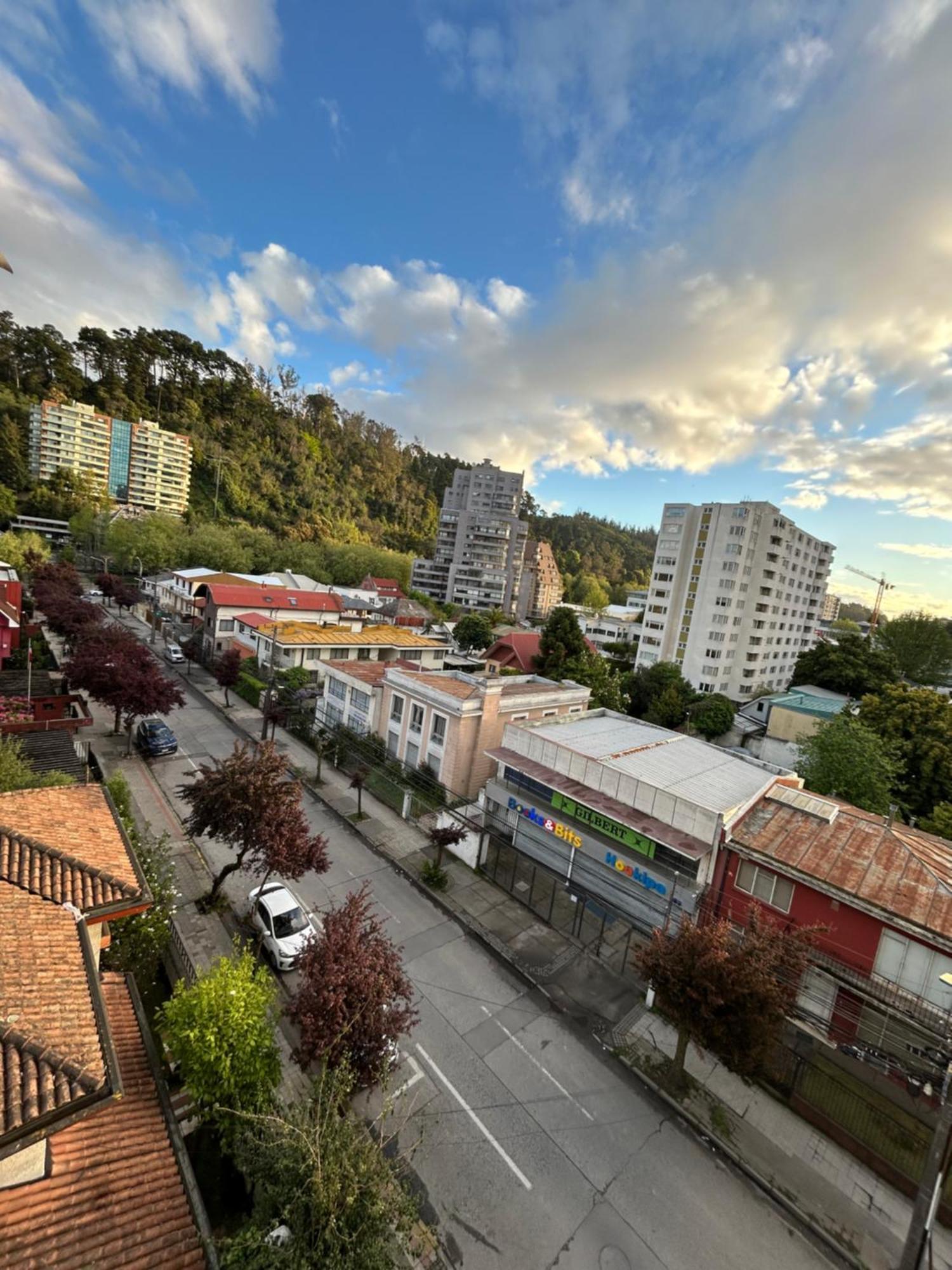 Mirador Parque Apartment Concepcion Bagian luar foto